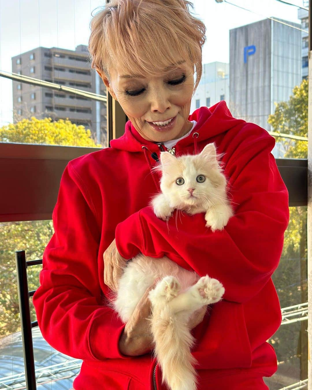 研ナオコのインスタグラム：「2/22猫の日🐈 ネコにゃん〜子猫はじめて体験物語2023〜 今夜見てねー。 #研ナオコ#猫の日#研ニャオコ」