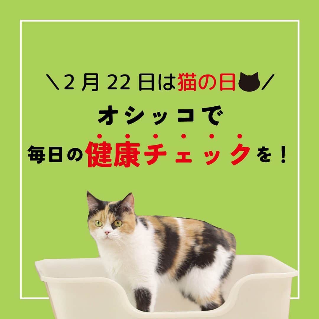 ライオン商事株式会社さんのインスタグラム写真 - (ライオン商事株式会社Instagram)「＼オシッコで確認！／ 毎日の健康チェック🐈  #猫トイレ #猫トイレ問題  #猫の日  猫ちゃんのお世話で毎日欠かせないのが、 トイレのお掃除ですよね。  いつものトイレ掃除のときに、 オシッコ後の猫砂の固まりをチェックしていますか❓ 猫砂の固まりは、猫ちゃんの健康を確認するヒントになります！💡 「オシッコがいつもと違う！」と気づくためには、 健康時の状態を知っておくことが大切です。🤔 おうちの猫ちゃんが健康な時のオシッコの回数、色、量などを把握しておきましょう。  しっかりと固まる猫砂と目盛り付きのスコップは、 オシッコ量をチェックするのに便利ですよ♪　  「いつもより固まりが大きいかも？」 「固まりの数が多いかも？」 「固まりの色が違うかも？」など 気になることがありましたらかかりつけの 動物病院さんに相談することをおすすめします。🏥  ＼☘️おすすめ☘️／ ライオンペットの「ニオイをとる砂（鉱物系）」は、 ガッチリ固まる鉱物系の猫砂。 オシッコやウンチのニオイをしっかり消臭します。💩 目盛り付きスコップは、「獣医師開発※ニオイを取る砂専用 猫トイレ」に付属しています。  ぜひチェックしてみてくださいね❗️  ※東京猫医療センター院長服部獣医師と当社獣医師の共同開発  ＊＊＊＊＊＊＊＊＊＊＊＊＊＊＊＊＊＊＊ 🐱クラウドファンディング実施中🌸 猫の殺処分を減らし、猫と新しい飼い主さんとの未来を「咲かせる」プロジェクト。 さくらプロジェクト実施中。 https://readyfor.jp/projects/lion-pet_sakuraproject  #さくらプロジェクト  #クラウドファンディング  #クラウドファンディング挑戦中  #クラファン  #クラウドファンディング中  #保護猫  #保護猫と暮らす  ＊＊＊＊＊＊＊＊＊＊＊＊＊＊＊＊＊＊＊  #2月22日 #ねこの日 #ネコの日 #猫 #ねこ #健康 #猫のいる暮らし #猫好きさんと繋がりたい #ねこすたぐらむ #ねこのいる生活 #ねこすきさんと繋がりたい #ネコ #ネコスタグラム #ふわもこ部 #猫部 #ねこ部 #肉球 #ごめん寝 #cat @lion_pet_cat」2月22日 15時06分 - lion_pet_cat