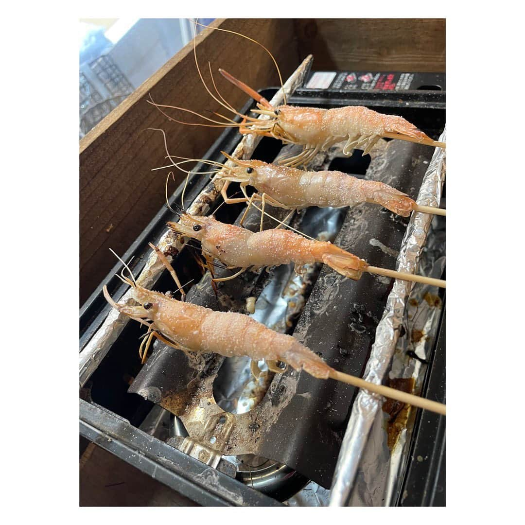 柳野玲子さんのインスタグラム写真 - (柳野玲子Instagram)「🦐エビ釣りカフェ🦐 先日は、釣ったエビをその場で串に刺して焼いて食べられるカフェへ🥰 #エビ のぴょんぴょんとした躍動感が竿から伝わり、 #一歳半 の #息子 も #笑顔 で喜んでました💓  #釣り #カフェ #釣りカフェ #釣り人」2月22日 15時42分 - yanaginoreiko