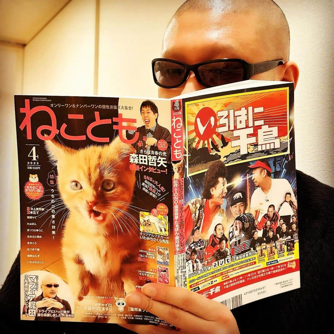 マフィア梶田のインスタグラム：「3号連続でマフィア梶田のインタビューを掲載したアバンギャルド猫雑誌「ねことも」4月号が好評発売中にゃんですわ。  #ねことも  #猫  #マフィア梶田」