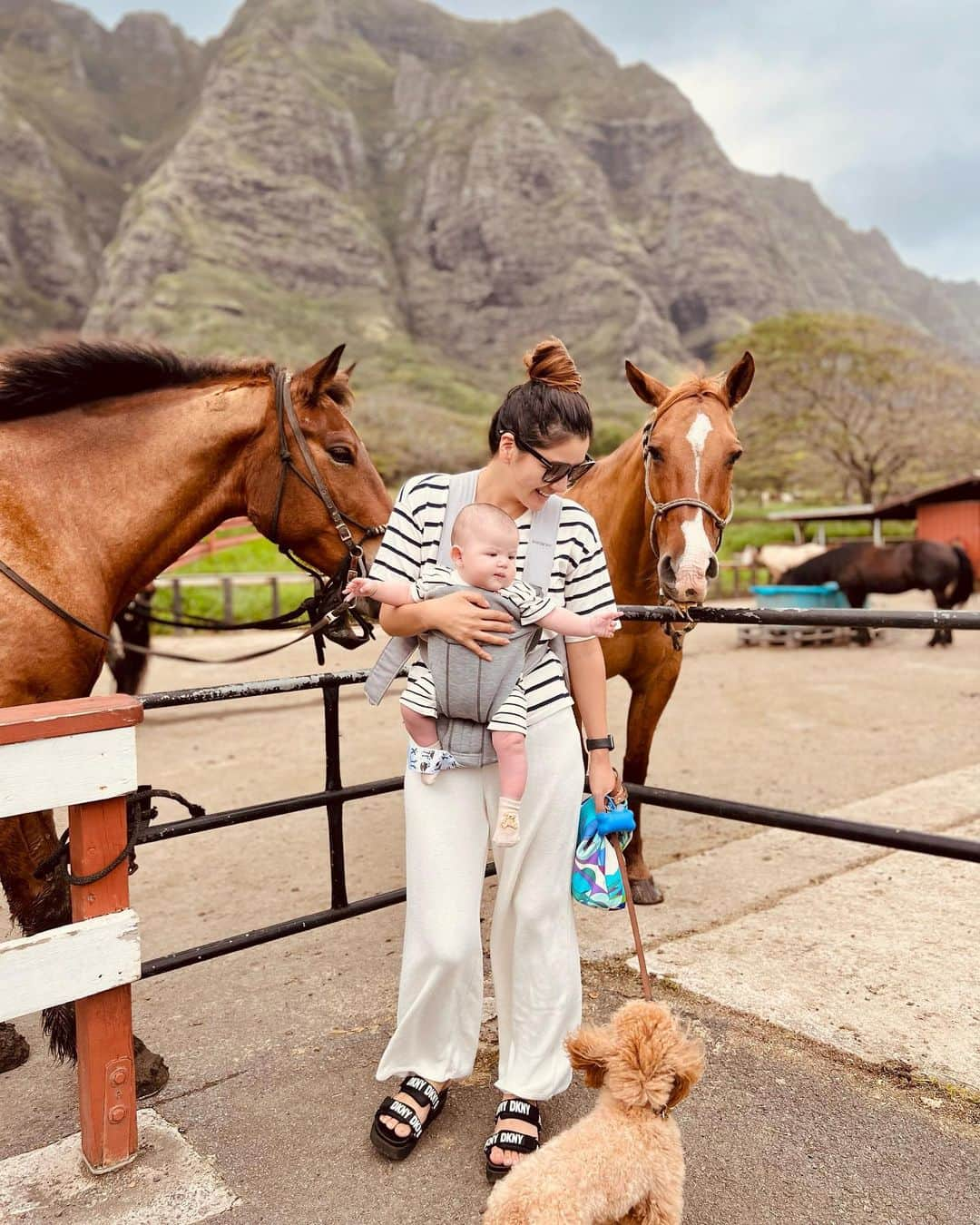 宮崎沙矢加のインスタグラム：「I brought my daughter to the place where I remember riding horses for the first time when I was a kid🌴🌴🌴 I have many memories of Hawaii.Mahalo♥️  . . . 今日はクラロアランチ🐴に🌺ミシェルは初めて見るお馬さんに興味津々👶🏼よーしよし撫で撫でしてました♥️ここは私が子供の頃初めて 乗馬体験した場所なんだぁ🫶🏽 お馬さん達はテディが気になってずっと私達の所に来てくれてました🤍 自分の両親が私にしてくれた様にミシェルも小さいうちから色んなところに連れて行ってあげよう♥️🤙🏽 #hawaiibaby #kualoaranch #5monthsold #5ヶ月ベビー」