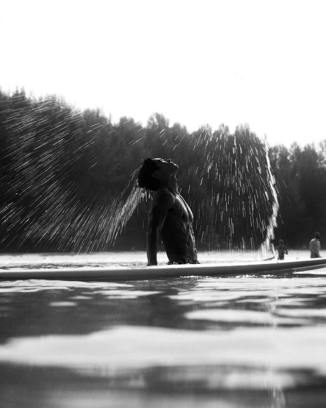 八代健さんのインスタグラム写真 - (八代健Instagram)「Morning ritual 🖤 lens by @maxmillionx   #surfer #ocean #khaolak  #hydroconquest  #longinesthailand」2月22日 16時20分 - kenyashiro