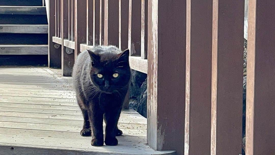 田名部生来のインスタグラム