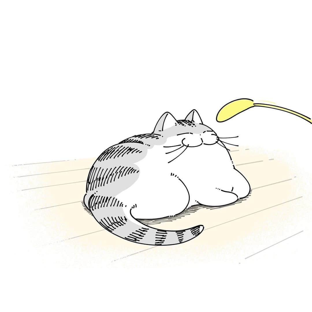 キュルZのインスタグラム：「猫の日🐾  #キュルガ #夜は猫といっしょ #猫 #cat #猫の日」
