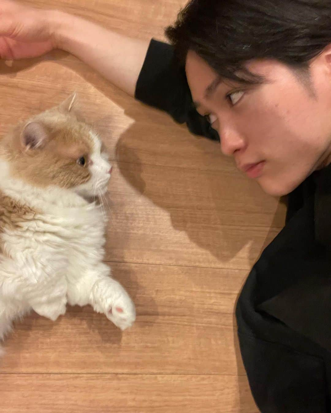 藤原樹さんのインスタグラム写真 - (藤原樹Instagram)「・ 猫の日🐈  一緒に撮るの難しい、、 全部ブレた🧐  #猫の日」2月22日 17時27分 - itsuki_fujiwara_official