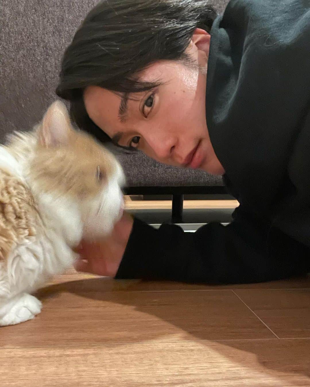 藤原樹さんのインスタグラム写真 - (藤原樹Instagram)「・ 猫の日🐈  一緒に撮るの難しい、、 全部ブレた🧐  #猫の日」2月22日 17時27分 - itsuki_fujiwara_official