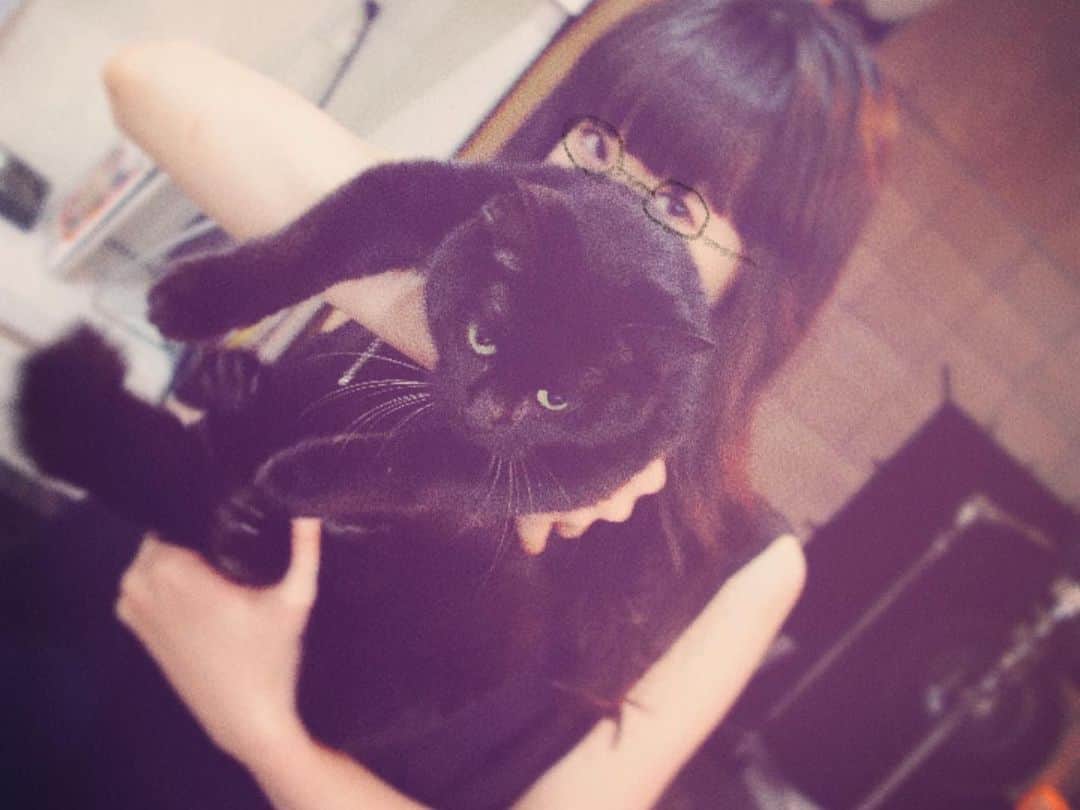 Aimerさんのインスタグラム写真 - (AimerInstagram)「⚯̫  猫の日に聴いてほしいアルバムᓚᘏᗢ と、当時の舞台裏!」2月22日 17時44分 - aimer_0907_official