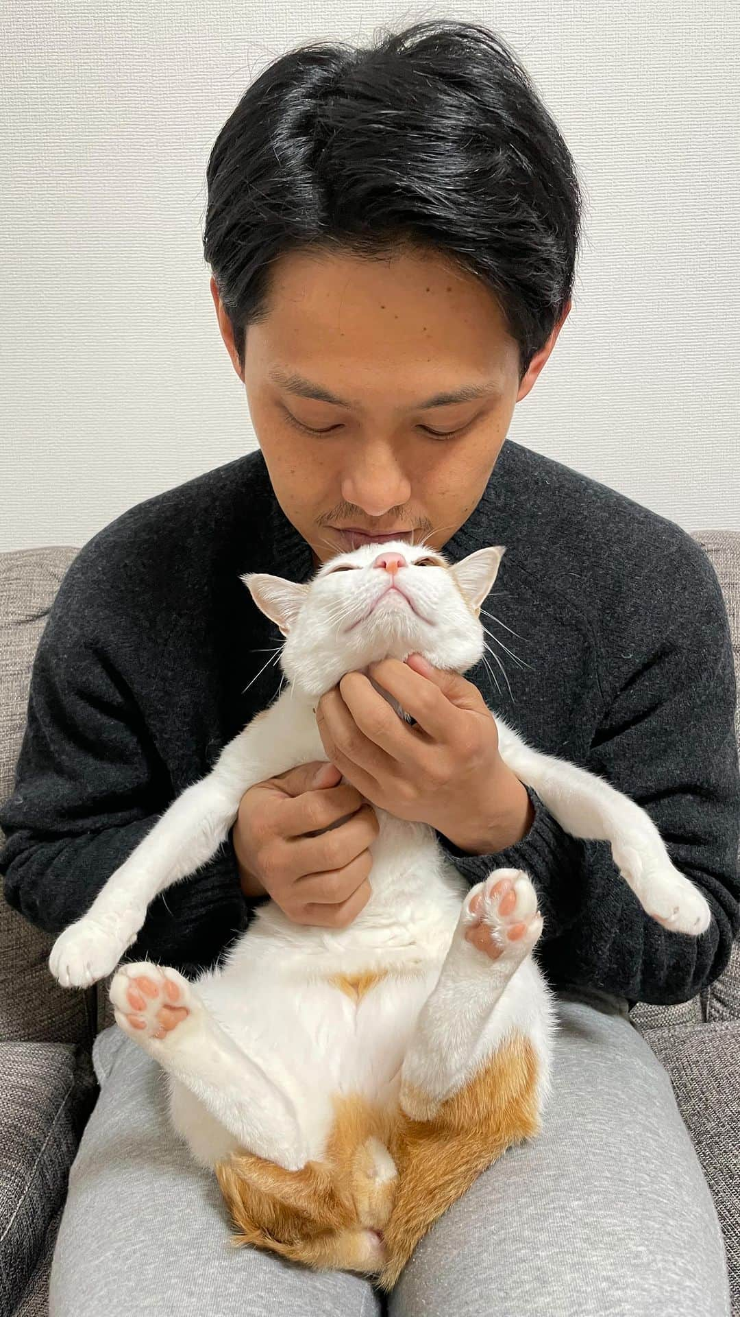 三木秀甫のインスタグラム：「今日は猫の日！ という事で、はじめまして😼 我が家のアイドル、"梅蔵"です🕺✨ . #保護猫  #保護猫出身  #保護猫活動を応援します  #猫の日  #譲渡会猫  #ねこスタグラム #ねこら部  #ねこのきもち #茶白猫  #ふわもこ部  #太鼓  #ジャンベ #cat #catstagram #catlife #catlover #cats #happycat #meow  #rescuecat  #gato  #chat」