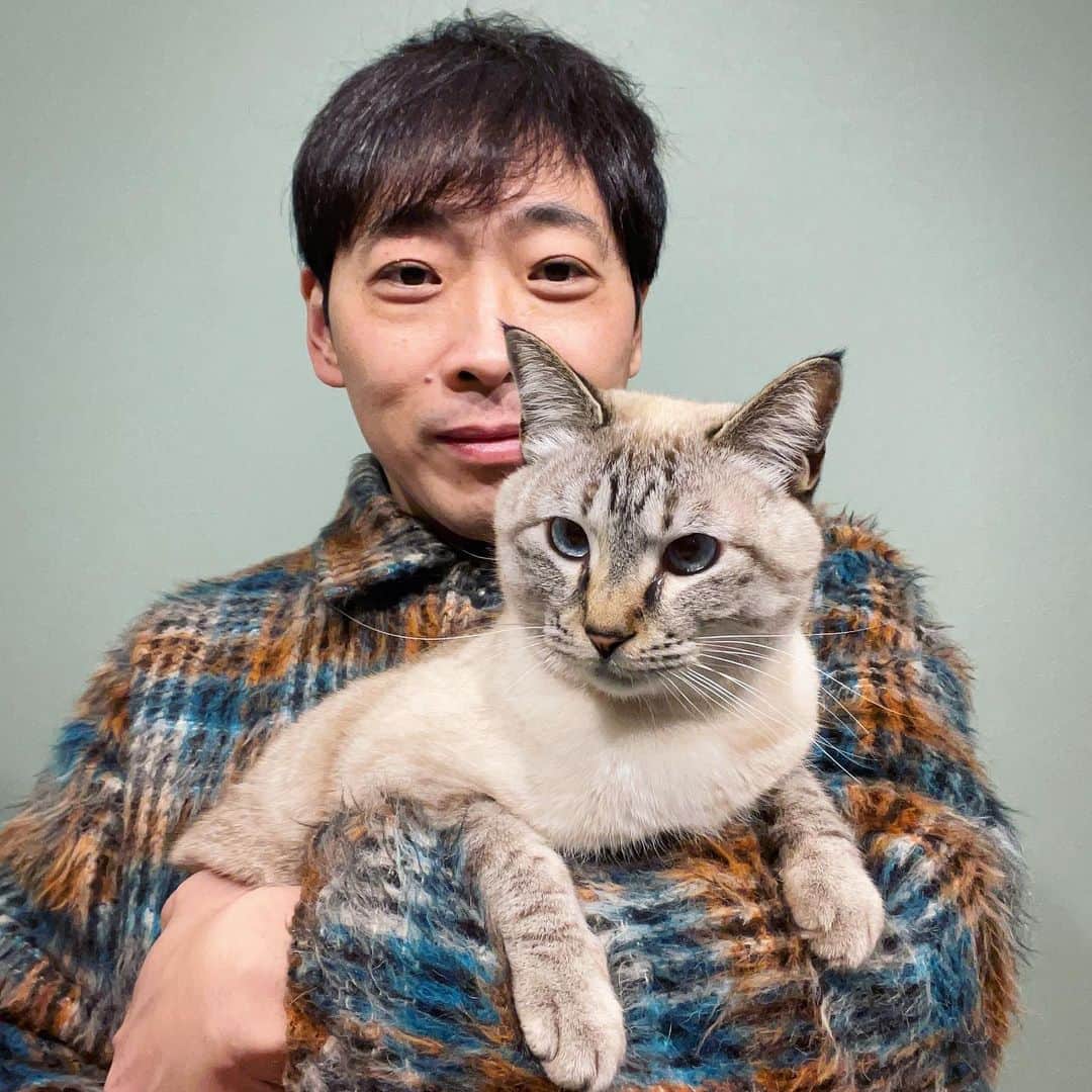 堂島孝平さんのインスタグラム写真 - (堂島孝平Instagram)「誕生日が猫の日なので撮りました🐱 47才になりました㊗️ #保護猫と暮らす  #シャムトラ」2月22日 18時37分 - dojima_kohei