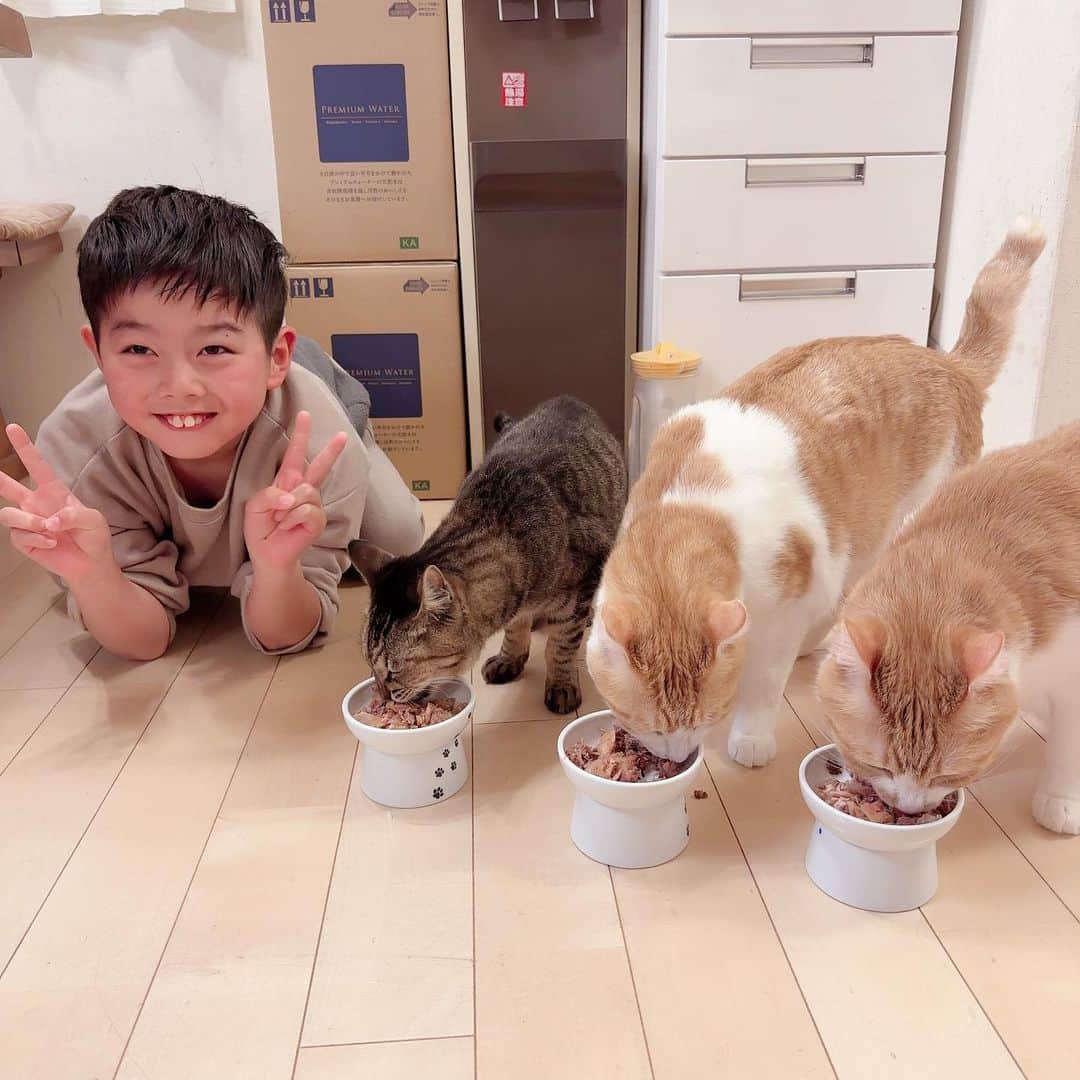 ブラザー4チャンネルのインスタグラム：「【ニャンニャンニャン🐱】 今日は猫の日🐾 猫ちゃんにベッタリのなーたん☆ ⁡ 過去一度も子供たちに怒ったことがない わが家のにゃんこ達🐾 ⁡ いつも見習わせてもらってます♫ ⁡ #brother4 #YouTuber #猫の日 #2月22日 #里親ネコ #猫のいる暮らし」