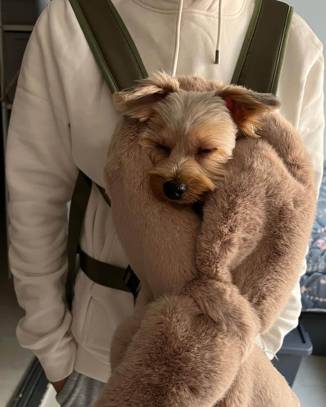 チェ・ナヨンさんのインスタグラム写真 - (チェ・ナヨンInstagram)「우리 테리 미용하고 서울 나들이 했지욤😍 아직 추워서 눈물 찍찍 테리🥶😭 추워서 많이 못 걷고 @corrr___ 방문!  이제서야 첫 방문이라니😳 아직 못 먹으니까 치팅데이때 먹을것들 미리 사서 냉동해두기😉」2月22日 19時30分 - nychoi87
