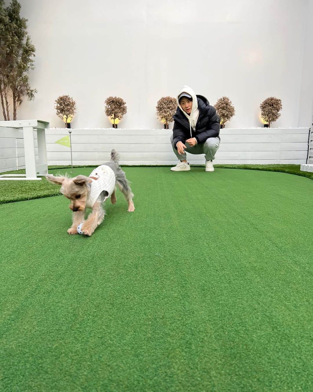 チェ・ナヨンさんのインスタグラム写真 - (チェ・ナヨンInstagram)「우리 테리 미용하고 서울 나들이 했지욤😍 아직 추워서 눈물 찍찍 테리🥶😭 추워서 많이 못 걷고 @corrr___ 방문!  이제서야 첫 방문이라니😳 아직 못 먹으니까 치팅데이때 먹을것들 미리 사서 냉동해두기😉」2月22日 19時30分 - nychoi87
