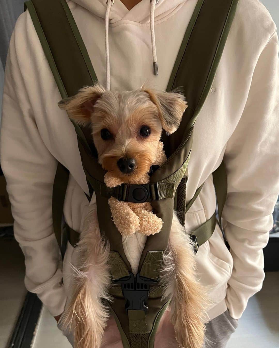 チェ・ナヨンさんのインスタグラム写真 - (チェ・ナヨンInstagram)「우리 테리 미용하고 서울 나들이 했지욤😍 아직 추워서 눈물 찍찍 테리🥶😭 추워서 많이 못 걷고 @corrr___ 방문!  이제서야 첫 방문이라니😳 아직 못 먹으니까 치팅데이때 먹을것들 미리 사서 냉동해두기😉」2月22日 19時30分 - nychoi87