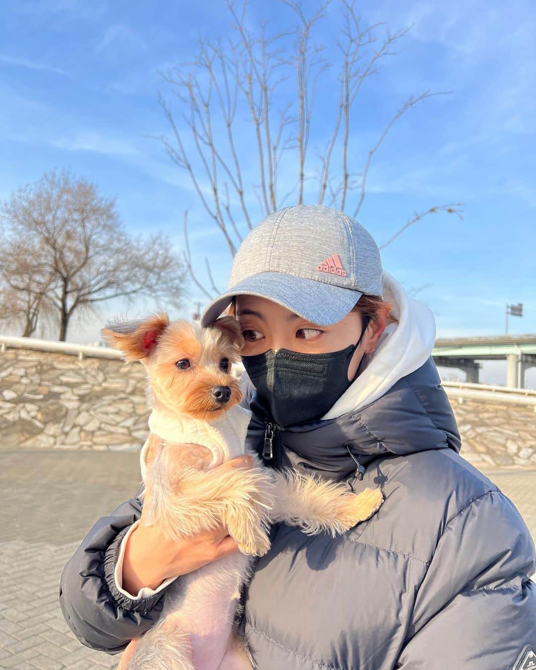 チェ・ナヨンさんのインスタグラム写真 - (チェ・ナヨンInstagram)「우리 테리 미용하고 서울 나들이 했지욤😍 아직 추워서 눈물 찍찍 테리🥶😭 추워서 많이 못 걷고 @corrr___ 방문!  이제서야 첫 방문이라니😳 아직 못 먹으니까 치팅데이때 먹을것들 미리 사서 냉동해두기😉」2月22日 19時30分 - nychoi87
