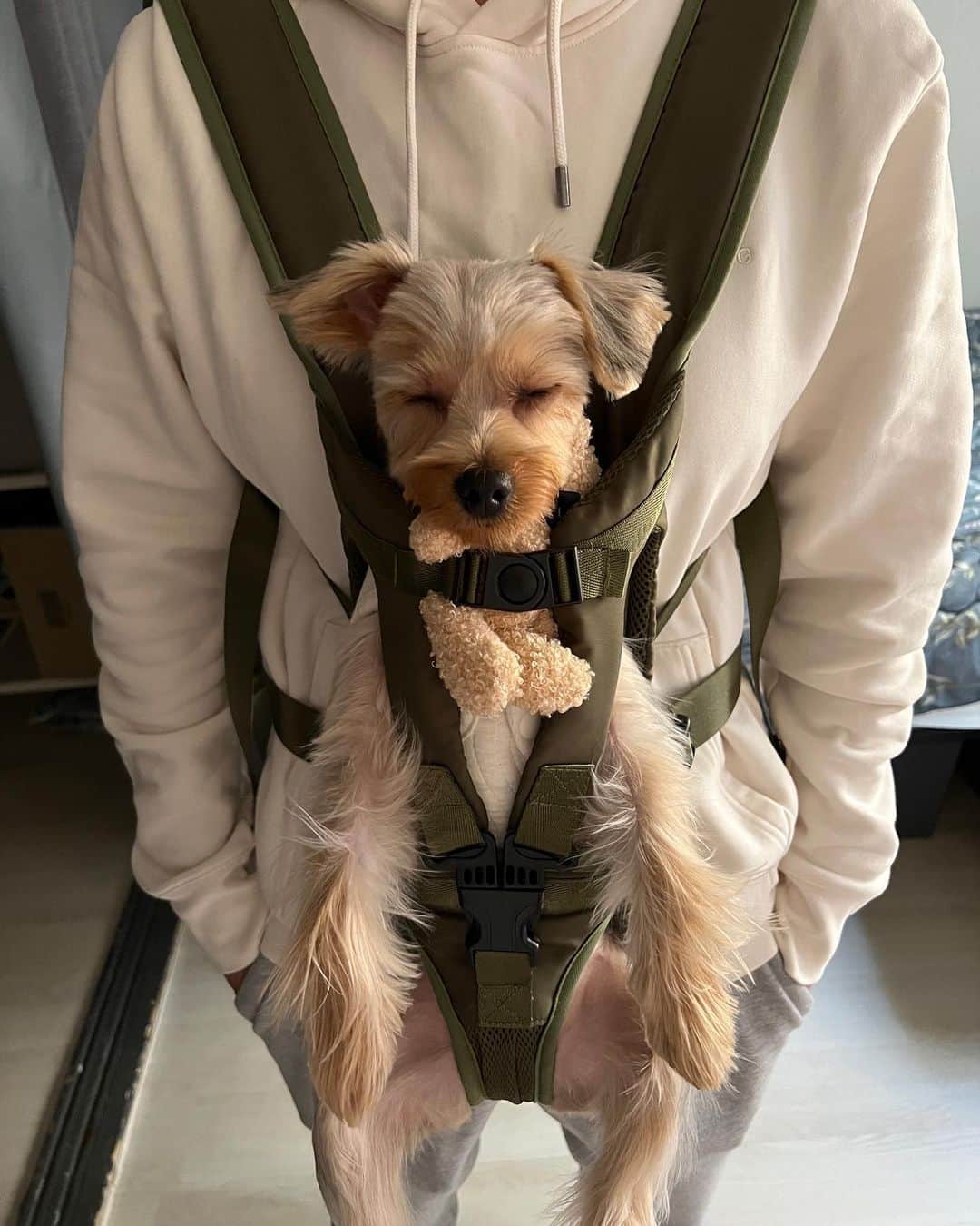 チェ・ナヨンさんのインスタグラム写真 - (チェ・ナヨンInstagram)「우리 테리 미용하고 서울 나들이 했지욤😍 아직 추워서 눈물 찍찍 테리🥶😭 추워서 많이 못 걷고 @corrr___ 방문!  이제서야 첫 방문이라니😳 아직 못 먹으니까 치팅데이때 먹을것들 미리 사서 냉동해두기😉」2月22日 19時30分 - nychoi87