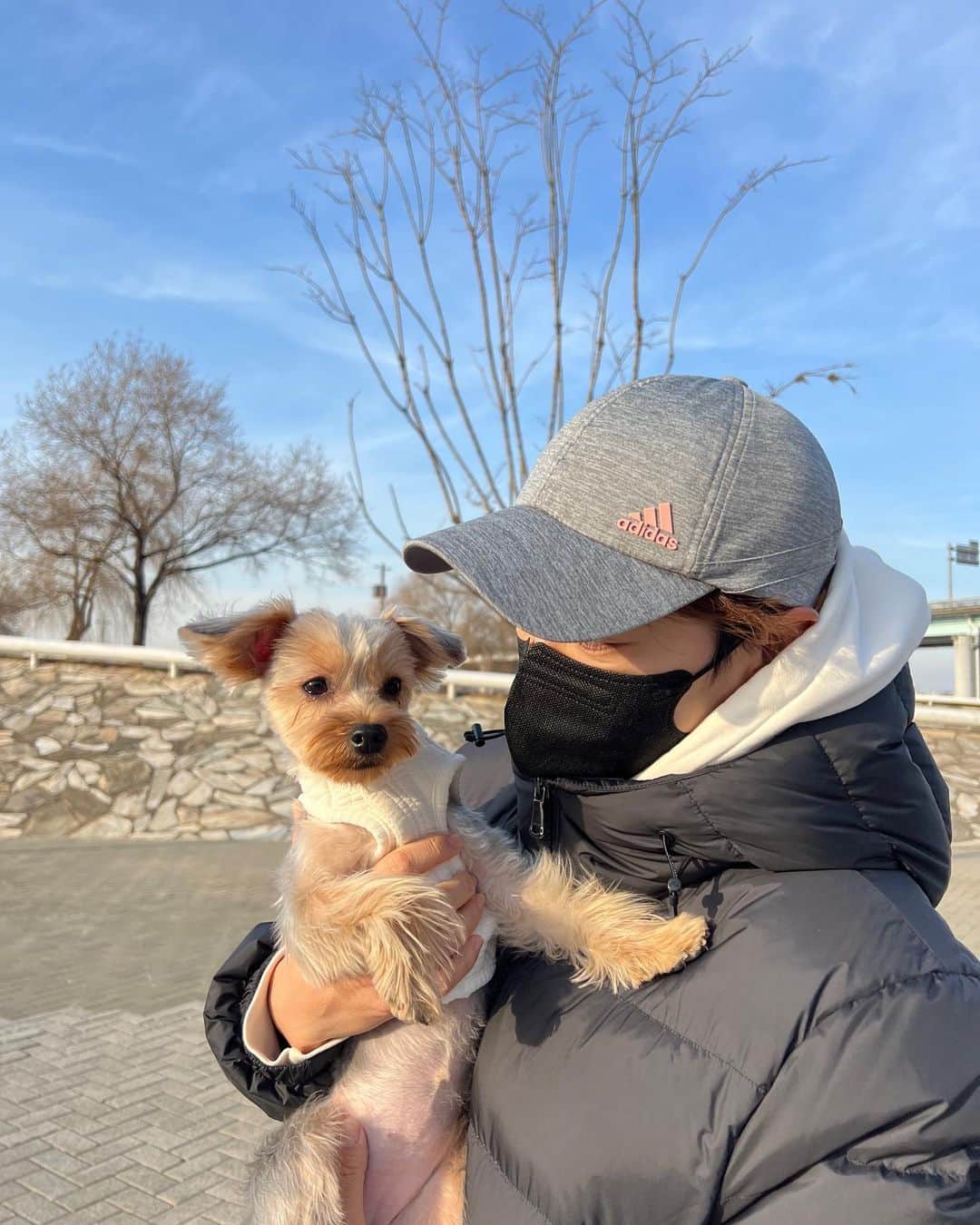 チェ・ナヨンさんのインスタグラム写真 - (チェ・ナヨンInstagram)「우리 테리 미용하고 서울 나들이 했지욤😍 아직 추워서 눈물 찍찍 테리🥶😭 추워서 많이 못 걷고 @corrr___ 방문!  이제서야 첫 방문이라니😳 아직 못 먹으니까 치팅데이때 먹을것들 미리 사서 냉동해두기😉」2月22日 19時30分 - nychoi87