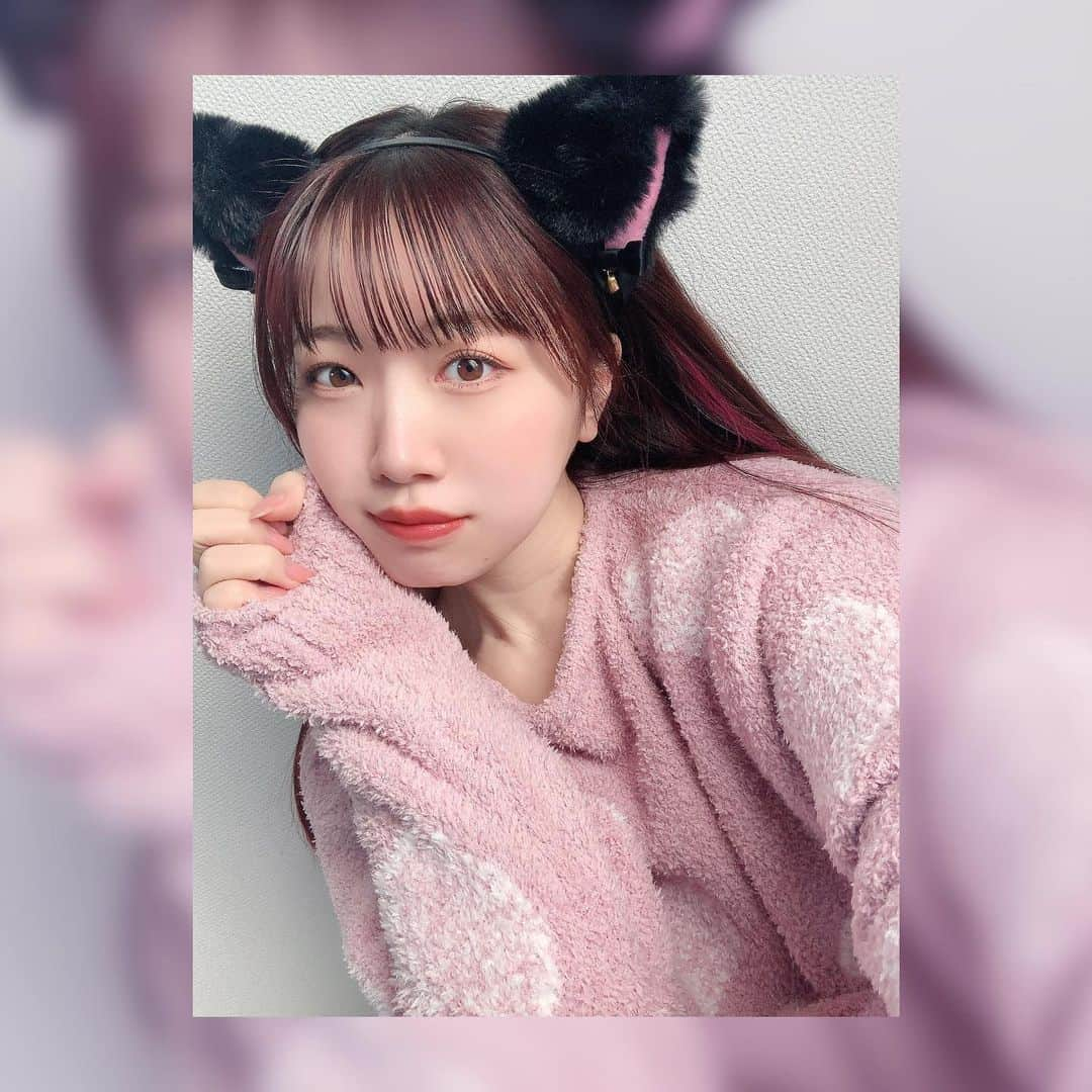 桜野羽咲さんのインスタグラム写真 - (桜野羽咲Instagram)「❤︎ ⁡ ⁡ ⁡ 名前 羽咲(うさ🐇)ですけど ねこちゃんになりました🫡笑 ⁡ #ねこの日 です🐈🐈‍⬛ ⁡ ⁡ ⁡ ⁡ ⁡ ⁡ ⁡ ⁡ #selfie #japanesegirl #猫 #猫の日 #猫耳 #ナチュラルメイク #裸眼メイク #ルームウェア #猫咪 #喵喵 	#셀카 #고양이 #셀카타임」2月22日 20時13分 - sakuranousa