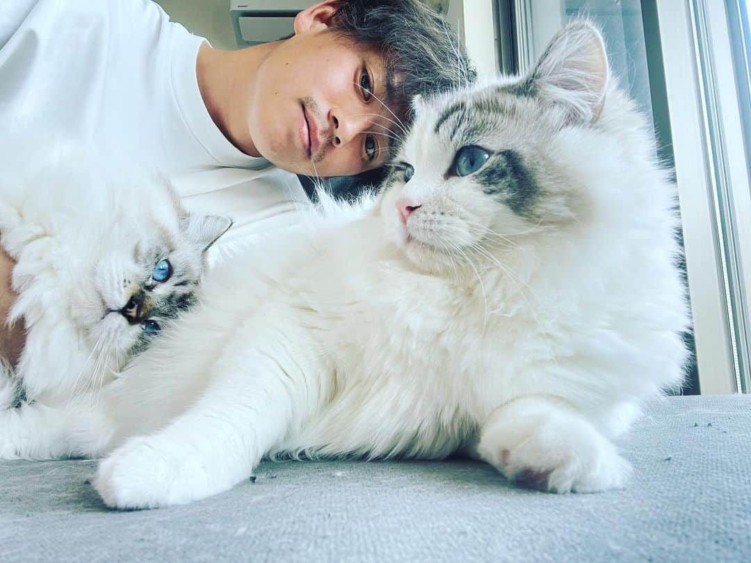 汰木康也のインスタグラム：「猫の日」