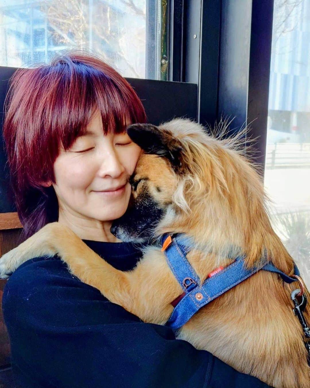 akkoさんのインスタグラム写真 - (akkoInstagram)「甘えん坊のベルカちゃん🐕 抱っこしてー❣️とやってくる😆 でもさ、、 抱っこのサイズじゃないんですけど😂笑笑 ビーが亡くなってから、ますます甘ったれのベルカです🐕私も同じ気持ちかも😅 #akko #akkostagram #mll #保護犬」2月22日 20時56分 - mllakko