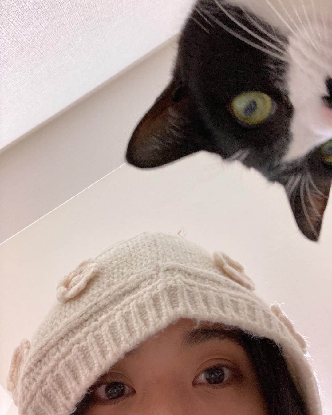 江藤遼さんのインスタグラム写真 - (江藤遼Instagram)「2.22 にゃんこのひ！！♡  #cat #love」2月22日 21時51分 - etooo3
