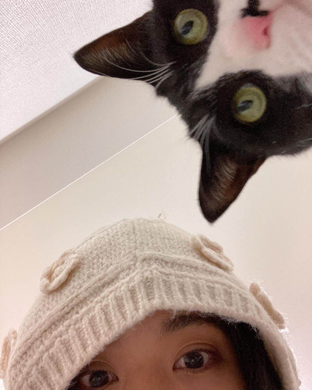 江藤遼のインスタグラム：「2.22 にゃんこのひ！！♡  #cat #love」