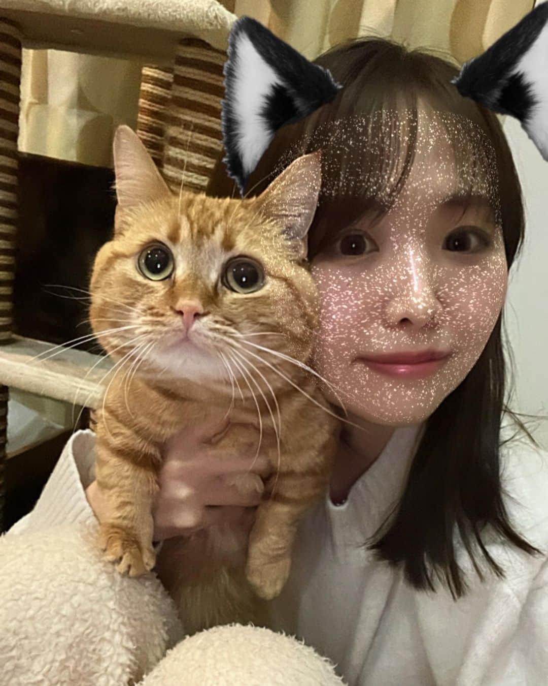 SHIHORINさんのインスタグラム写真 - (SHIHORINInstagram)「ꕀ  2.22🐈♡ #ねこの日  一緒に写真撮ったら最後は嫌がられた🫶🏻😮‍💨🥹  @marokun_37  #猫の日 #にゃんにゃんの日  #ねこのいる生活 #ねこすたぐらむ  #まんちかん #まんちかん短足  #短足マンチカン #まんちかん部」2月22日 21時51分 - shihoriiin49