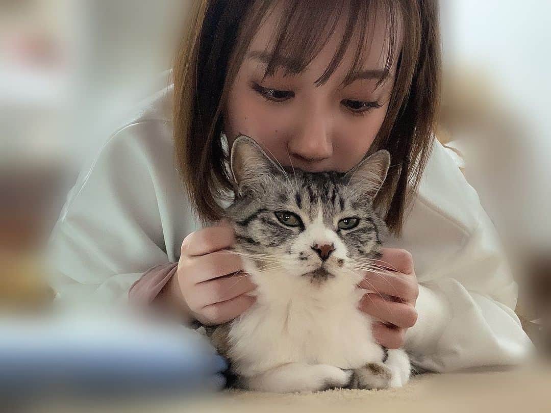 三田寺理紗さんのインスタグラム写真 - (三田寺理紗Instagram)「ご飯まだかー？と、うろうろ待つすずこ。  よく後頭部の匂いをかいでくる女に耐えるサラ。  猫たちよ、愛おしいね🫶」2月22日 22時00分 - risatan31