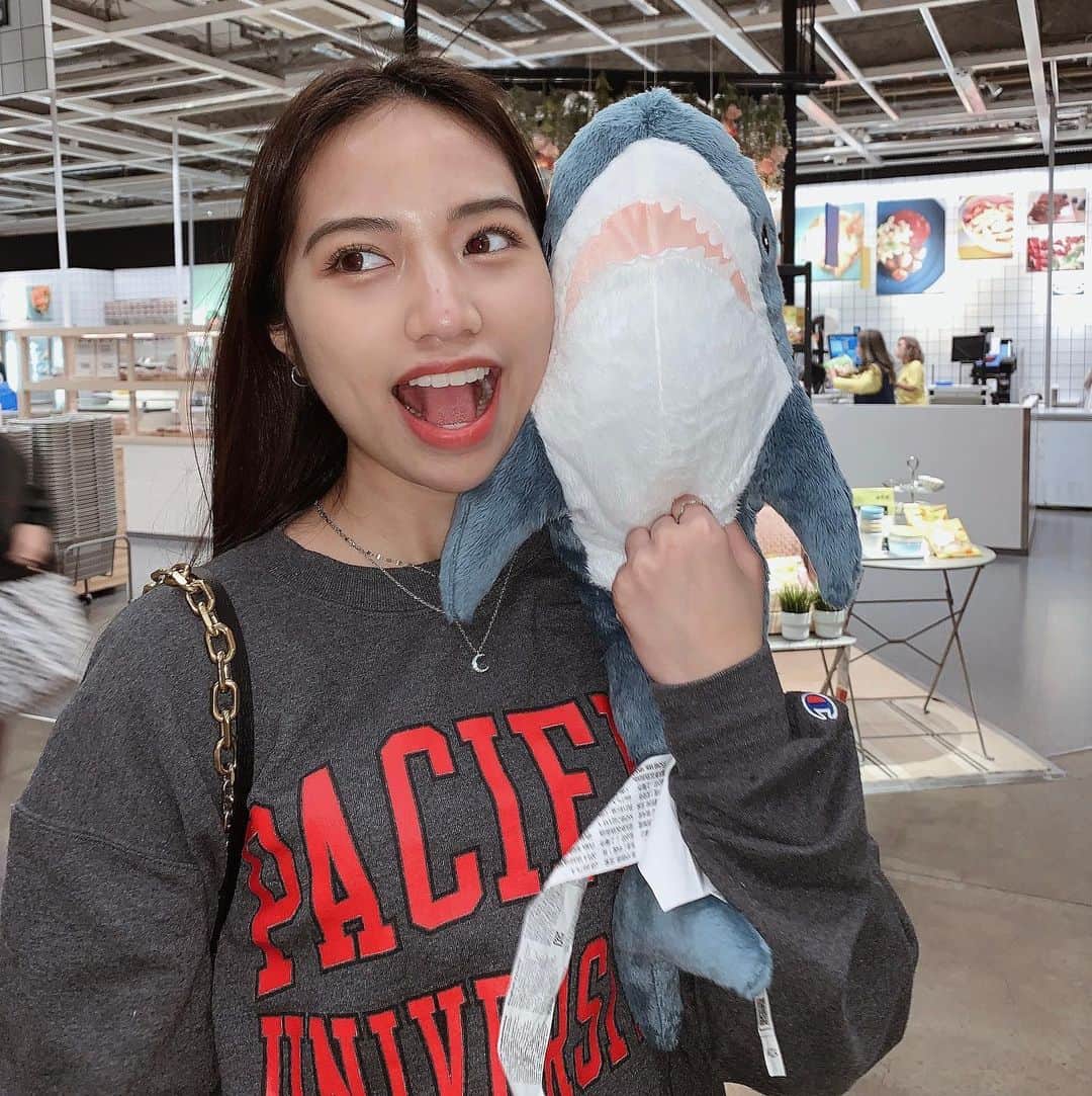 武藤ジャスピンさんのインスタグラム写真 - (武藤ジャスピンInstagram)「名前募集中↓🦈」2月22日 21時58分 - _jasmuts