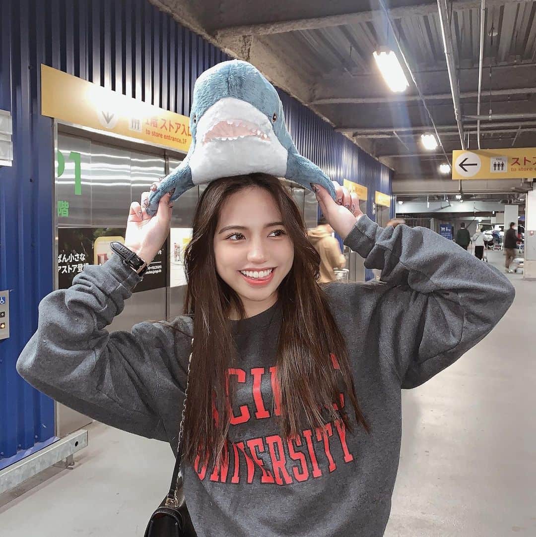 武藤ジャスピンのインスタグラム：「名前募集中↓🦈」