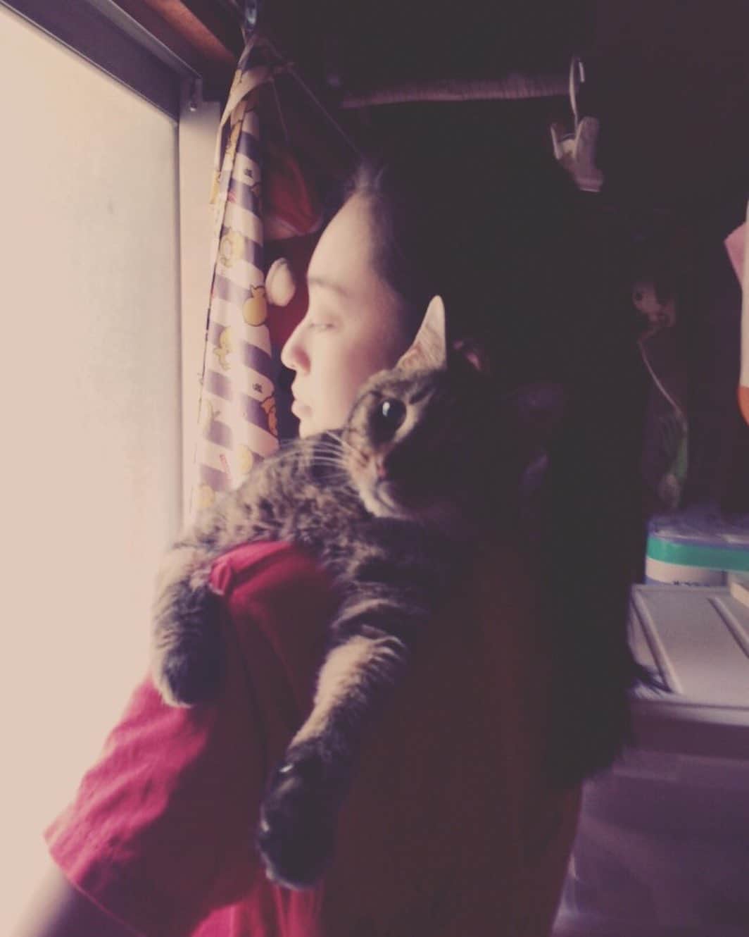 滝裕可里のインスタグラム：「猫の日🐈🐈‍⬛🐈 愛しい子たち 一生愛してる」