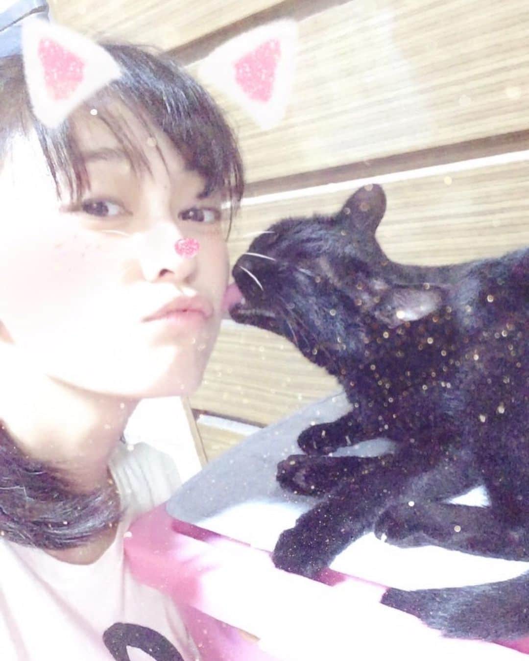 滝裕可里さんのインスタグラム写真 - (滝裕可里Instagram)「猫の日🐈🐈‍⬛🐈 愛しい子たち 一生愛してる」2月22日 22時02分 - takiyukari_official