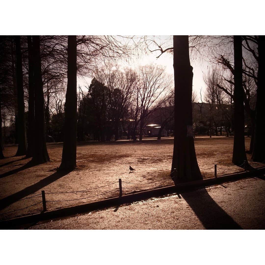 のインスタグラム：「* * A warm day in winter. * * #grsnaps #gr_meet_japan #grdigital4 #ricohgr #igersjp #jp_gallery_member  #sharaku_photostudio  #streetphotography #streetsnap #moments_in_streetlife #igworldclub_street #ricoh_gr_women #street_incity #streetartjaponism #moments_in_streetlife #shootgr #frametokyocollective #streetphotographyjapan #thephotosector #voidtokyo」