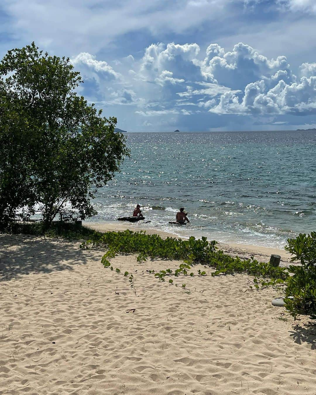 トニー・アゼベドさんのインスタグラム写真 - (トニー・アゼベドInstagram)「Fiji continues 😊」1月30日 15時19分 - tonyazevedo8