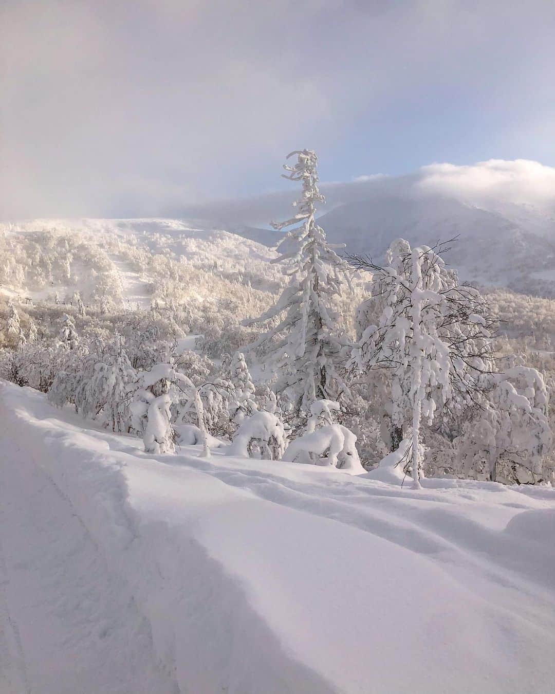田本詩織のインスタグラム：「❄️」