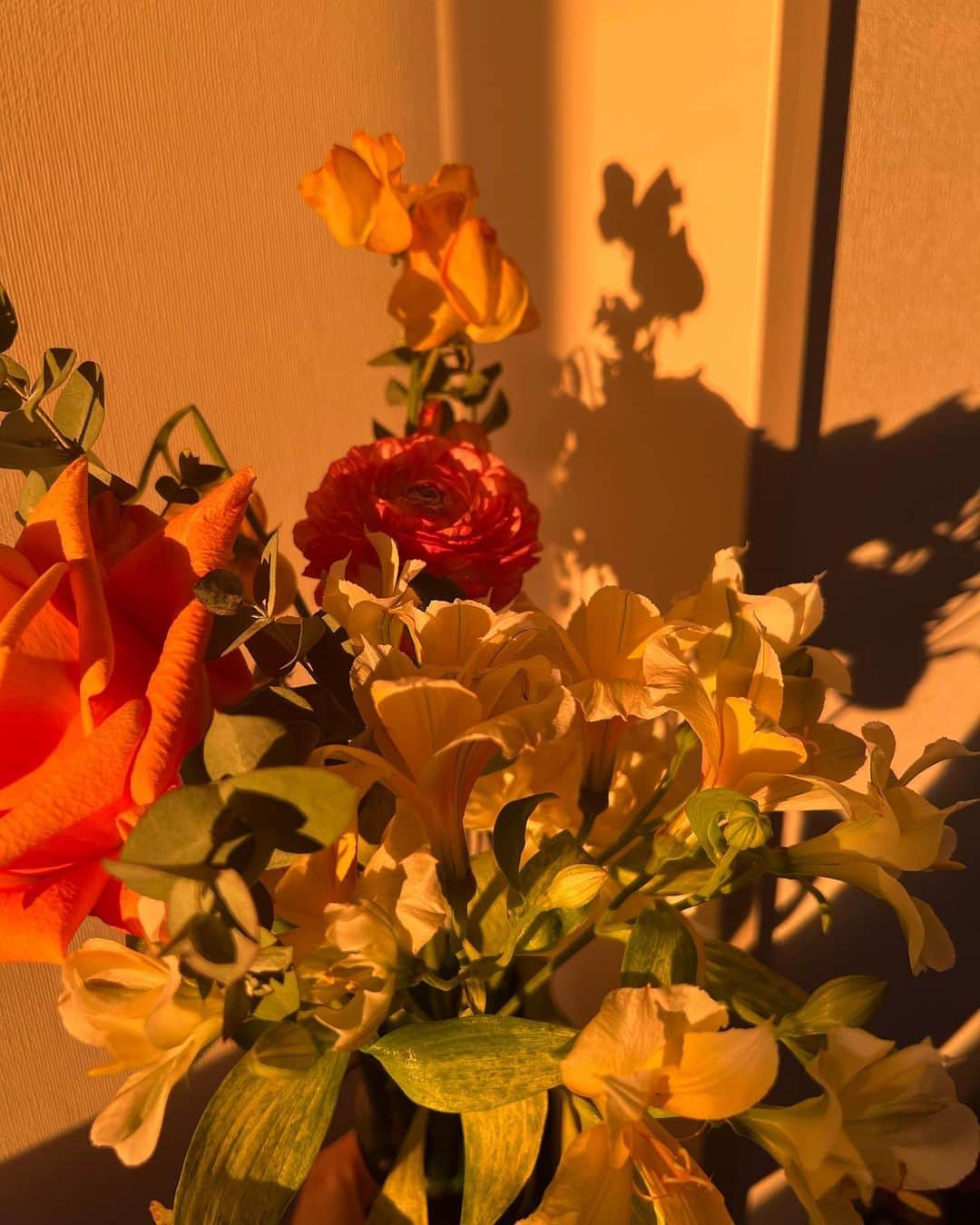 神尾美沙のインスタグラム：「夕方が1日の中で一番好き🌇今の家は夕陽が綺麗に差し込むから、この時間帯の家の中は幸せの色~ 最近娘、お昼寝が長くても40分/回 って感じだったのですが久々に今1.5時間くらい寝てる☺︎ 逆に何して良いかわからず寝顔を眺めている…笑」