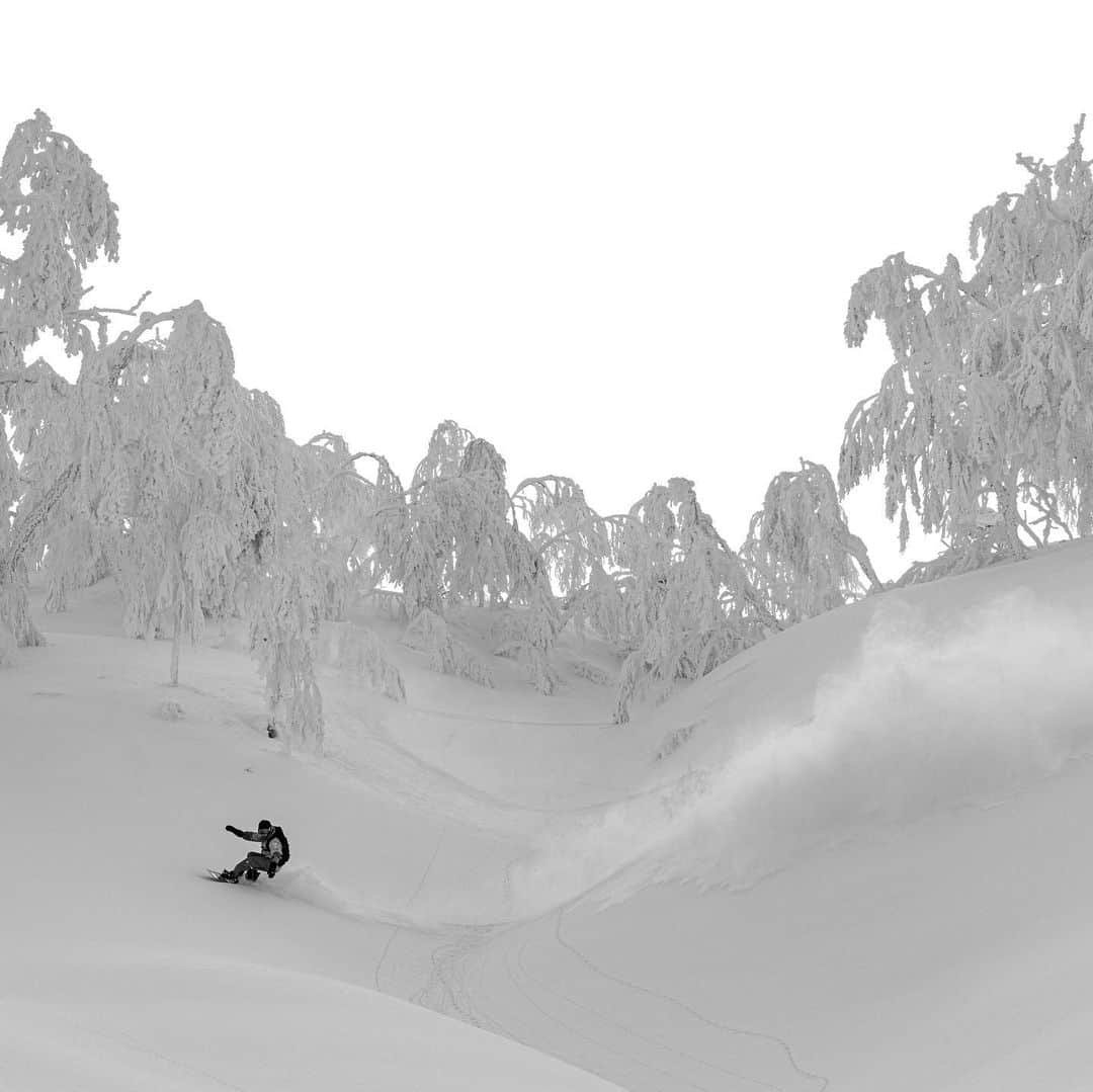 佐藤亜耶さんのインスタグラム写真 - (佐藤亜耶Instagram)「. @k2.snowboarding LANDSCAPE SERIES 🌲 ユニセックスのシリーズで、身長や足のサイズが小さい私でも、メンズと同じモデルを使うことができます。(フレックス・ワイズはレングスによって異なります) 私たちに新たな選択肢を提供してくれたK2に感謝🙏♥️  📸 @jun_watanabe_photo」1月30日 17時15分 - aya_sato_49