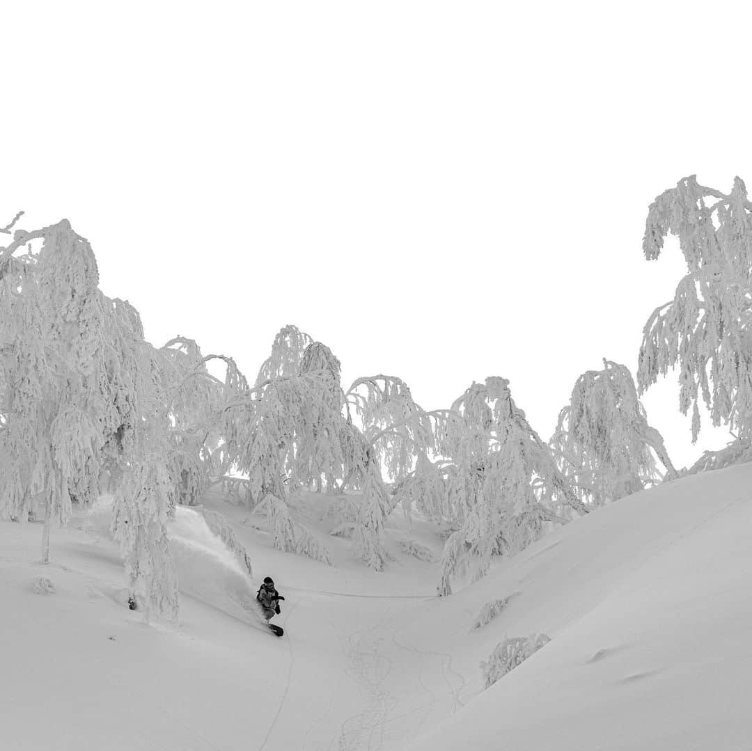 のインスタグラム：「. @k2.snowboarding LANDSCAPE SERIES 🌲 ユニセックスのシリーズで、身長や足のサイズが小さい私でも、メンズと同じモデルを使うことができます。(フレックス・ワイズはレングスによって異なります) 私たちに新たな選択肢を提供してくれたK2に感謝🙏♥️  📸 @jun_watanabe_photo」