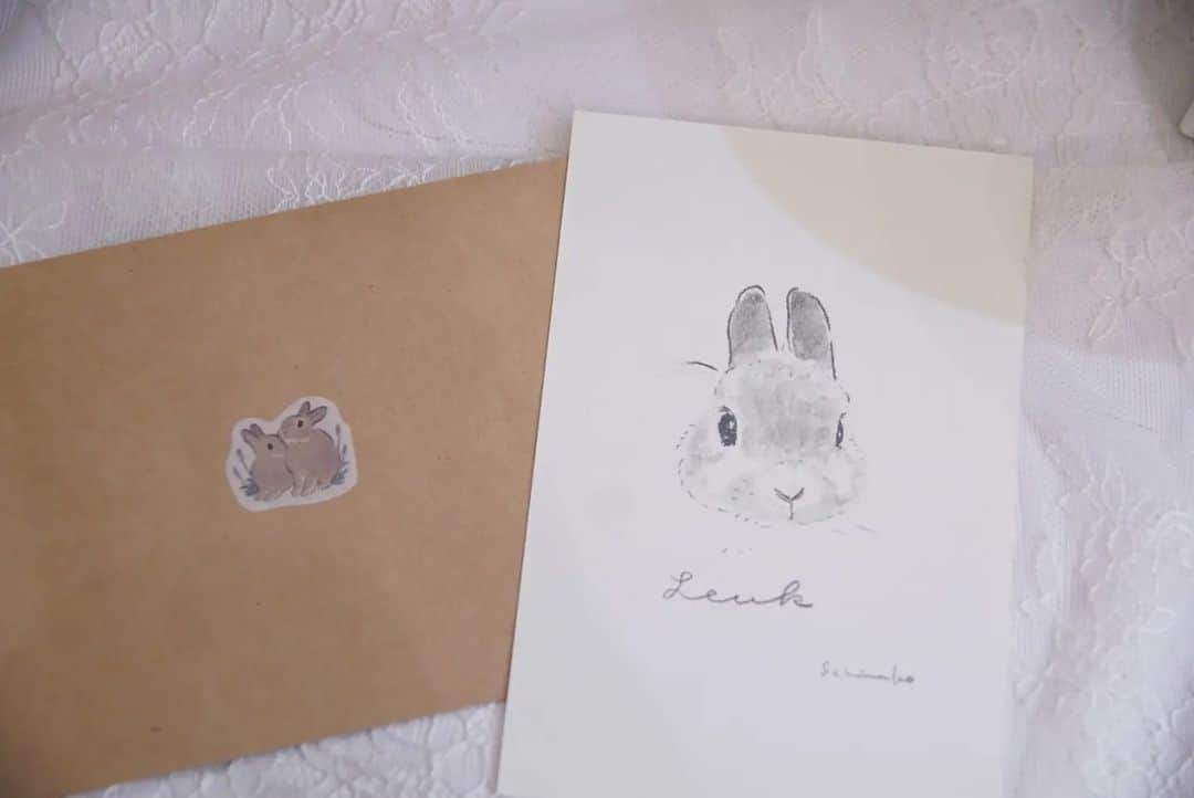 MaRi.Kのインスタグラム：「今月の始めにあった、 私のうさぎ展 in Hanshinで しなこさんにルーさん描いてもらいました✨  ランレンは初めて似顔絵やさんされたときに描いてもらったので、 今回はルーさん単体で。  描き始めていくと、 どんどんルーさんになってきて、 もうまんまルーさんなんです。 色付く前から線画だけなのに、ルーさんなんです。  今回のルーさんとランレン並べてみました♥ ルーさんは名前入りだもんね〜（綴りも正しいよ🤣🤣）  しなこさん、ありがとうございました♥ いつか、Rebekkaで毎月行ってる、 ポートレートも挑戦したいです✨✨  #私のうさぎ展 #うさぎの似顔絵屋さん」