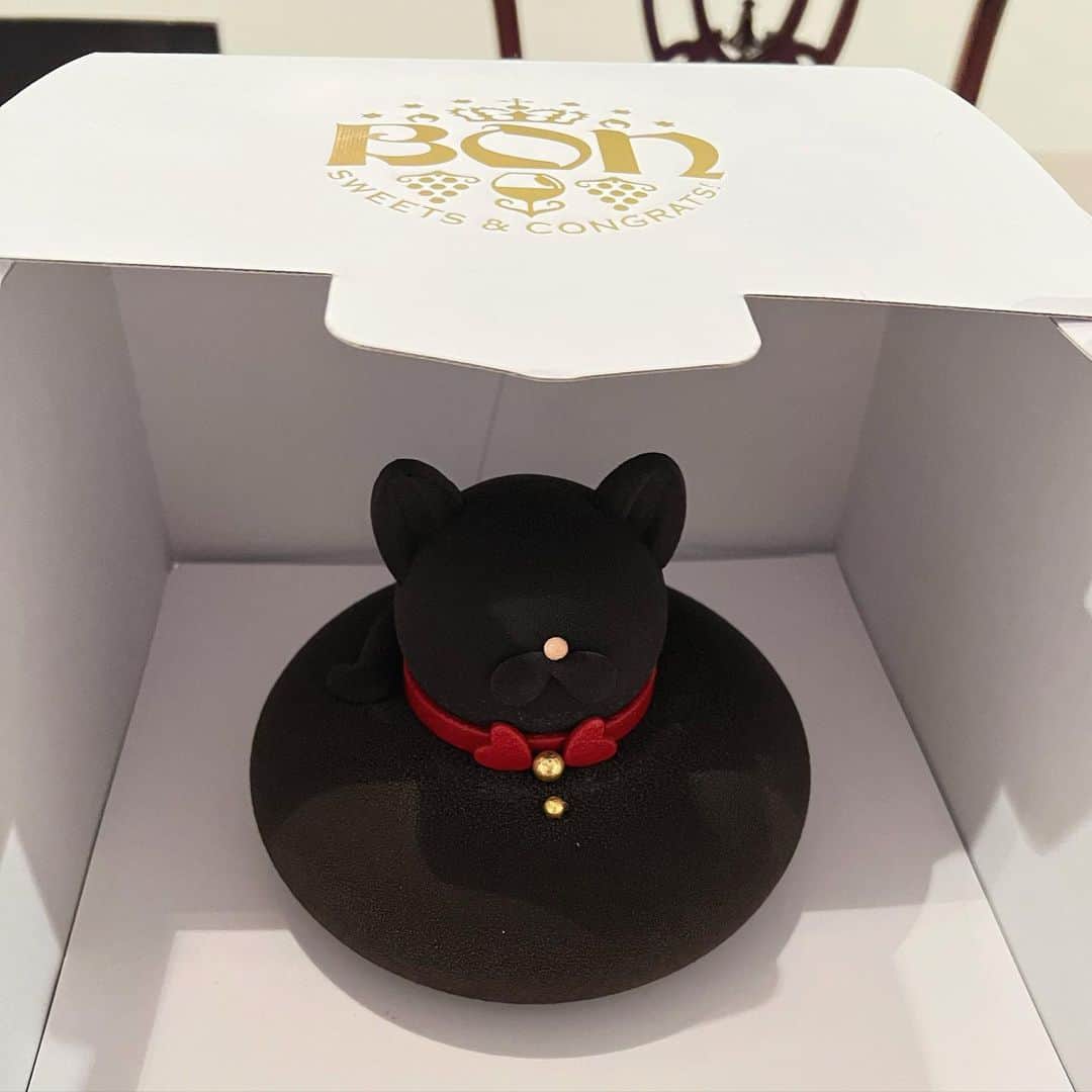 畑野ひろ子のインスタグラム：「箱を開けたら、こんなに可愛いねこちゃん🐈‍⬛❤️ 幸せを運ぶフクネコのムースケーキ🤍 お休みしていた　@bonsweetsandcongrats が再開！！ 我が家も、バースデーケーキなど沢山お世話になっていたので、再開のニュースは本当嬉しいです😆👏」