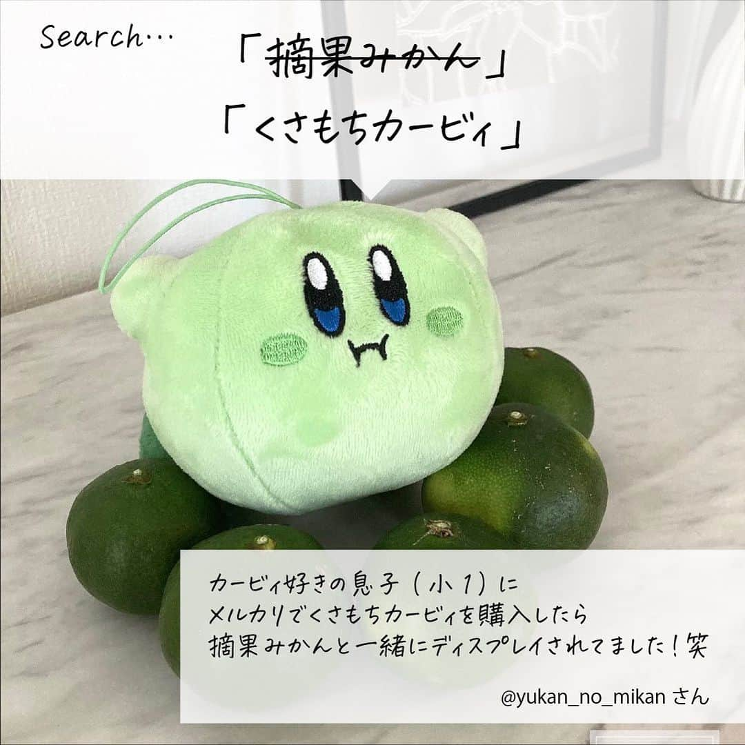 mercari_jpさんのインスタグラム写真 - (mercari_jpInstagram)「. 買ってよかった！ #メルカリ購入品レポート -新鮮野菜とくだもの–  今回は、「#メルカリ購入品」の投稿のなかから 寒いこの季節に買いたい！新鮮な野菜とくだものを 皆様の購入エピソードとともにご紹介❄️  あなたの今欲しいものも ぜひメルカリを使って見つけてみてくださいね♡  ---------------------------------------------------- Thank You..💕 . @merumo_213さん . @yokohigashidaさん . @haruxpesoさん . @4kumakumaさん . @yukan_no_mikanさん ----------------------------------------------------  メルカリでは他にもたくさんのアイテムが出品されています🌿 ぜひメルカリアプリもチェックしてみてください◎  #メルカリ #メルカリ講座 #メルカリ出品 #メルカリ販売 #メルカリ活用 #メルカリ活用術 #メルカリ初心者 #メルカリデビュー #メルカリはじめました #フリマアプリ #出品 #フリマ #スナップエンドウ #ふじりんご #ナガノパープル  #本柚子 #南水 #シナノゴールド #ミニトマト #摘果みかん #くさもち #くさもちカービィ #旬のフルーツ #旬の野菜 #新鮮食材 #新鮮な食材」1月30日 20時36分 - mercari_jp