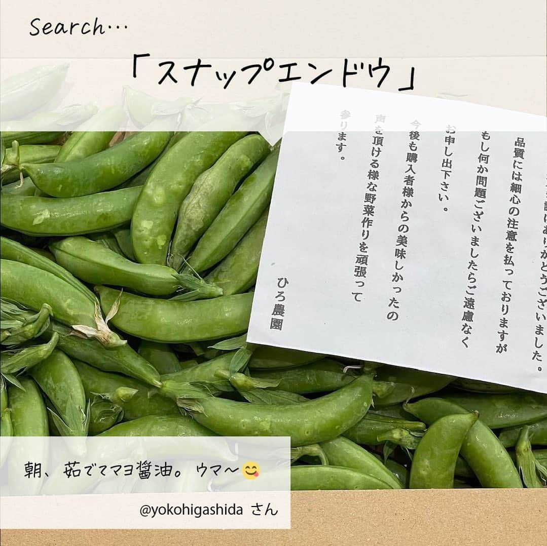 mercari_jpさんのインスタグラム写真 - (mercari_jpInstagram)「. 買ってよかった！ #メルカリ購入品レポート -新鮮野菜とくだもの–  今回は、「#メルカリ購入品」の投稿のなかから 寒いこの季節に買いたい！新鮮な野菜とくだものを 皆様の購入エピソードとともにご紹介❄️  あなたの今欲しいものも ぜひメルカリを使って見つけてみてくださいね♡  ---------------------------------------------------- Thank You..💕 . @merumo_213さん . @yokohigashidaさん . @haruxpesoさん . @4kumakumaさん . @yukan_no_mikanさん ----------------------------------------------------  メルカリでは他にもたくさんのアイテムが出品されています🌿 ぜひメルカリアプリもチェックしてみてください◎  #メルカリ #メルカリ講座 #メルカリ出品 #メルカリ販売 #メルカリ活用 #メルカリ活用術 #メルカリ初心者 #メルカリデビュー #メルカリはじめました #フリマアプリ #出品 #フリマ #スナップエンドウ #ふじりんご #ナガノパープル  #本柚子 #南水 #シナノゴールド #ミニトマト #摘果みかん #くさもち #くさもちカービィ #旬のフルーツ #旬の野菜 #新鮮食材 #新鮮な食材」1月30日 20時36分 - mercari_jp