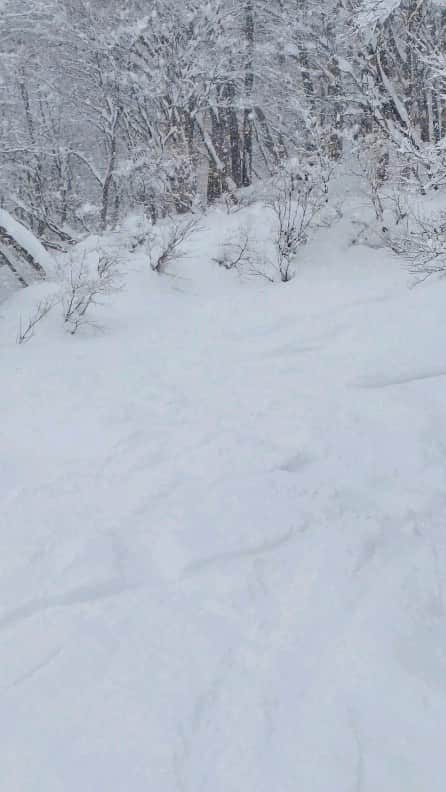 岡本圭司のインスタグラム：「北海道から帰ってきて一発目のスノーボードはDEEPなパウダー。 会社の @sb5fk9 と、 @cowcafe_47 店長の @megram.co.jp 、そして代表チームの @junta.kosuda と4人でセッション。 こうやって自分の周りの色んな好きな人達が繋がって行く事が凄く好きで、スノーボードでセッションするだけである程度分かり合える事も嬉しく思います。 健常者も障がい者も、プロもアマチュアも皆が一緒に楽しめるスノーボードに感謝だな～。 #サイドウェイ #sideway #hakuba47 #powder #パウダー #parasnowboard #paralympics #snowboarding #スノーボード #パラスノーボード  #パラスノーボード日本代表  #脊髄損傷 #werideforever」