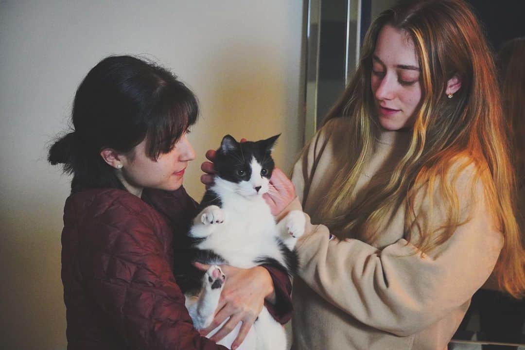ヤマカイのインスタグラム：「ポージング上手いけいた🐈‍⬛ 暴れん坊エデル🐈 . . . #posing #ポージング  #ねこ　#ネコ　#猫 #cat #catlover #catlife #catstagram  #ヤマカイ #ネレアさん」