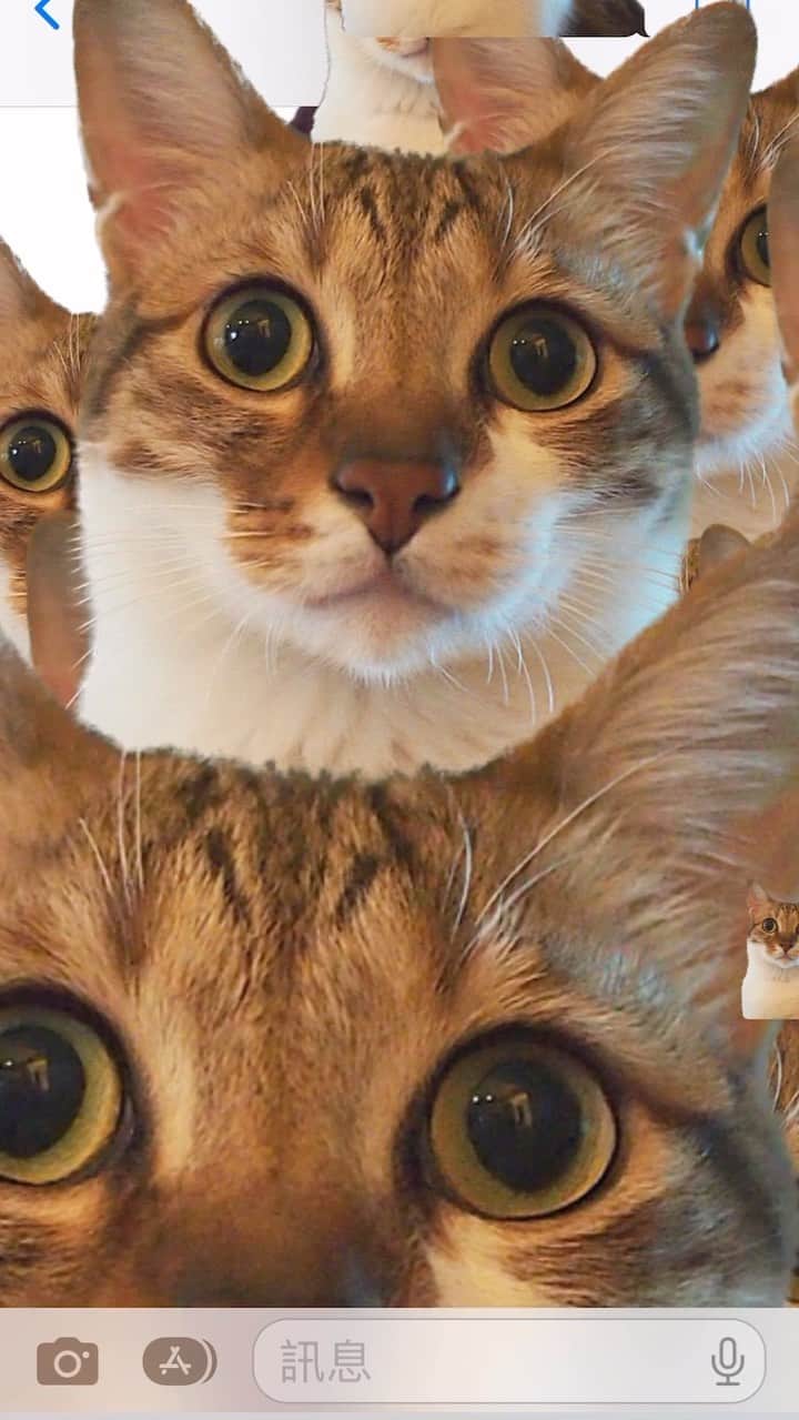 Katetsaiのインスタグラム