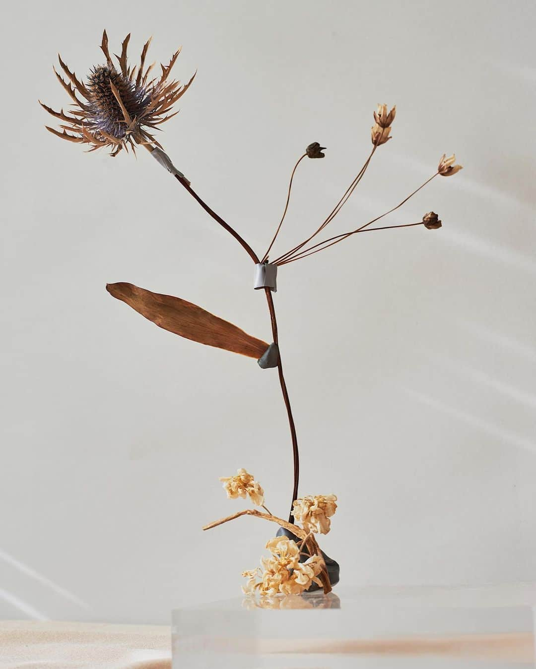 AÃRK Collectiveのインスタグラム：「A final image by Anastasia from a self-initiated project ‘What flowers do’ to wrap up her takeover week. . Follow @vaasialis for more visual mastery 🤍」