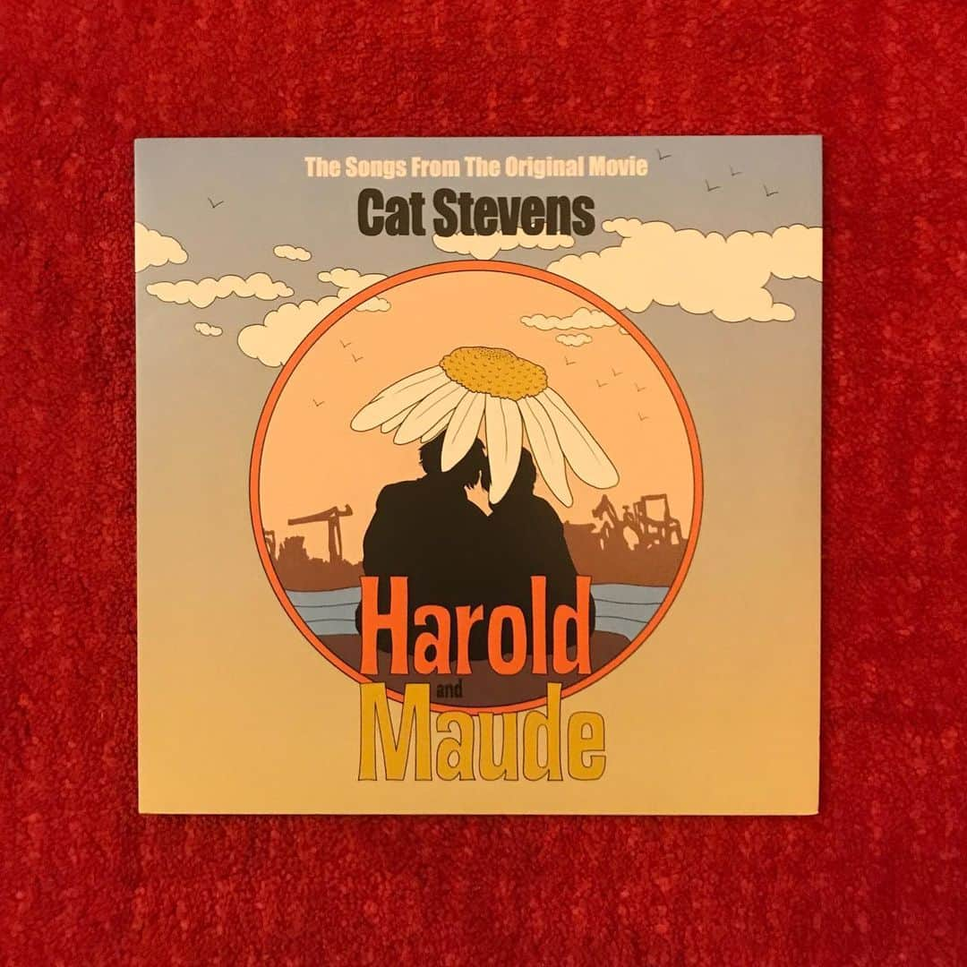 大下ヒロトさんのインスタグラム写真 - (大下ヒロトInstagram)「Harold and Maude(1971)/Hal Ashby soundtrack vinly by Cat Stevens 少年とお婆ちゃんのお話。」1月31日 19時38分 - hiroto_mitsuyo