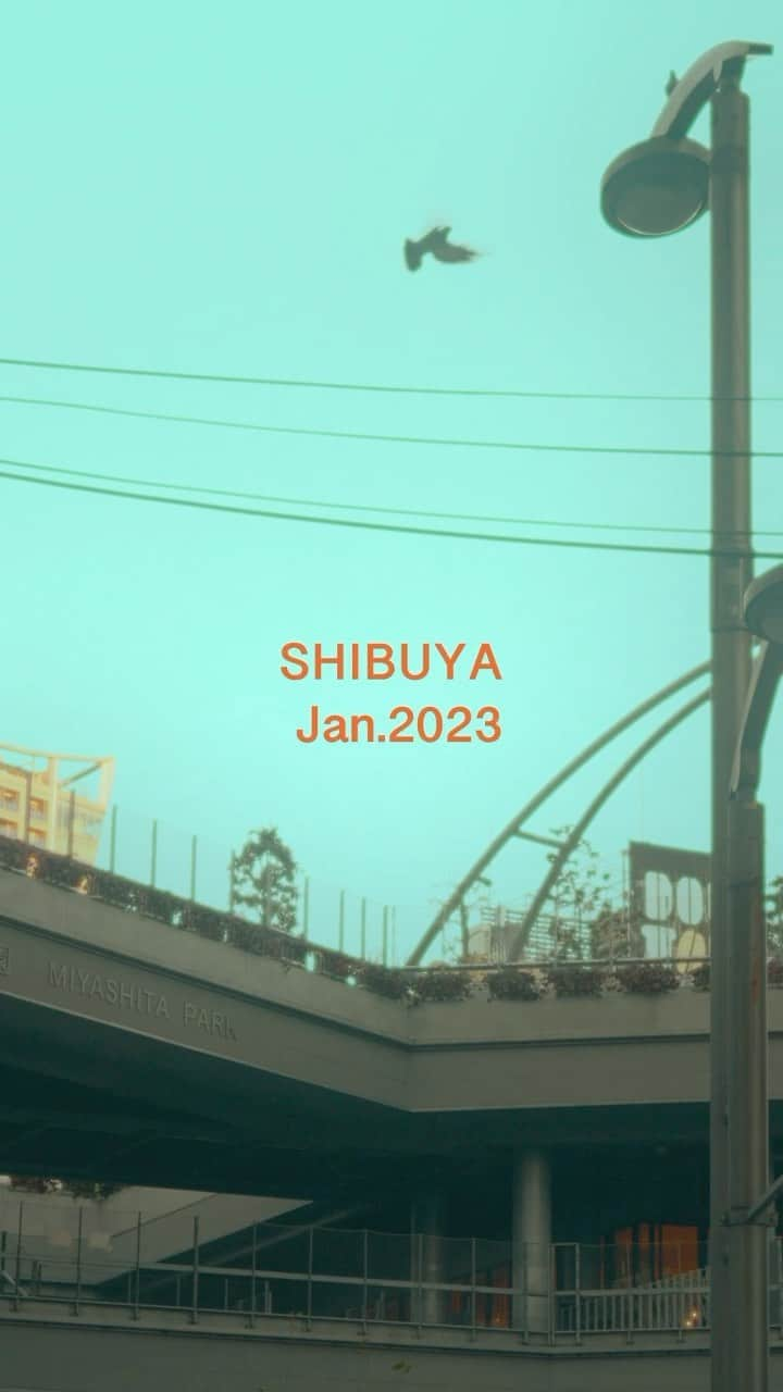 たなしんのインスタグラム：「街の景色を撮るのが好きで🔥  音楽と同じくらい生涯楽しめそうな趣味！  街が動き始める(終わる)時間を  感じたまま発信していきたいと！  映画ソウルフルワールドで大好きなシーンがあって  その影響もうけてる気がする🤔  チャンネル名は  バンドのグッドモーニングアメリカ  を意識してグッドモーニングワールド！  おはよう世界！  今日もほっこりコツコツ良き日を！  気持ちいい発信していきますので是非フォローを  宜しくお願いします！🔥  2023年の目標はフォロー1000人！！  #2023views #visitjapan #japan #japanlife #instajapan #japantrip #japantravel #japón #beautifuljapan #lovejapan #lovetraveling #shibuya #travelgram #sl2s #Leica #noctilux #gmw #goodmorningworld  #goodmorningworldjapan」