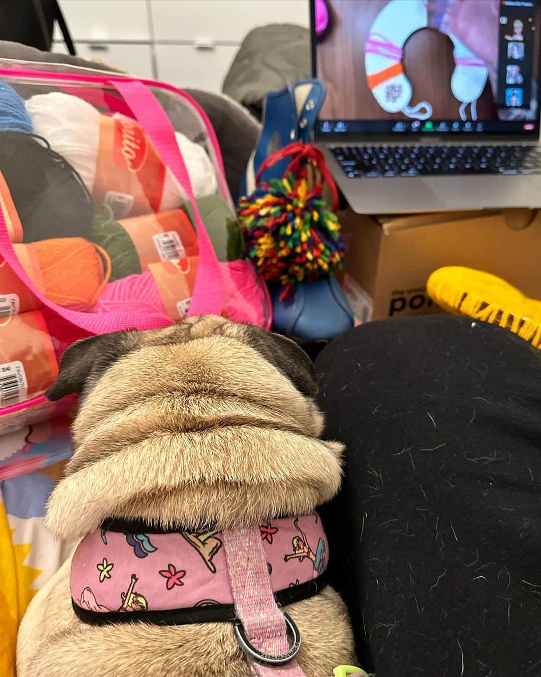 Melissa Santiagoさんのインスタグラム写真 - (Melissa SantiagoInstagram)「🧶 POM CAMP 2023 ⛺️   So excited to spend time with my gals, @planetdorth & @2.legit.2.britt! Amazing to meet so many new friends and be part of such a supportive group!   Thank you to @theneonteaparty   Lastly, biggest regret was @byjoymao being unexpectedly incapacitated, but looking forwarding to pomming with her in the Spring!   Also happy to have created a giant weirdo pom. Cheers to projects that when people ask you “why?” or what you’re going to “do with it? Idk man. Just let me create something pointless for fun. Okay?」1月31日 12時48分 - shortformelissa