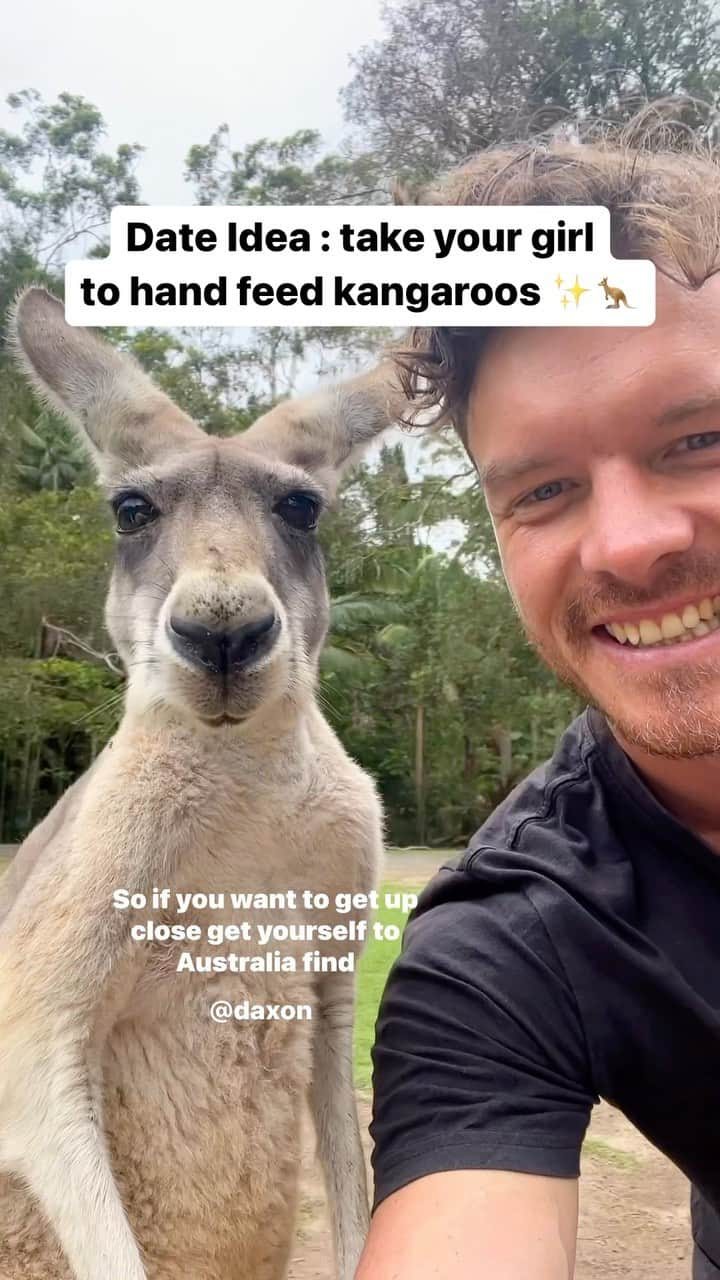 アラン・ディクソンのインスタグラム：「Let’s make some memories. Who wants a date with me at @currumbinsanctuary? We’ll hand feed some kangaroos ❤️ #kangaroos #currumbinwildlifesanctuary #australia #wildlife #dateideas #kangarooselfie #kangaroo #queensland」