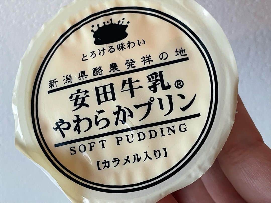 酒井雄二のインスタグラム：「苗場みやげ #安田牛乳　#やわらかプリン #おやつパトロール」